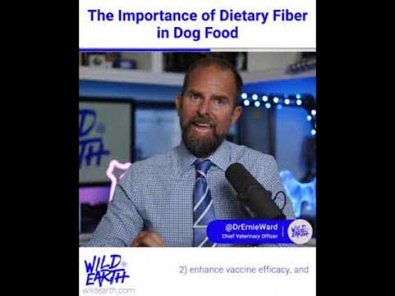 The Vet's Corner: The Importance of Fiber in Dog Food