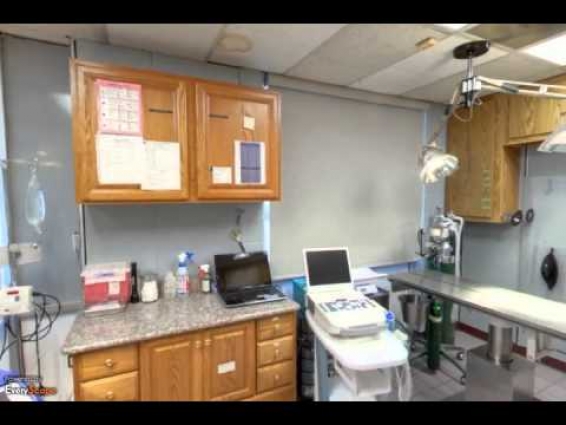 Aborn Pet Hospital | Fremont, CA | Veterinarian