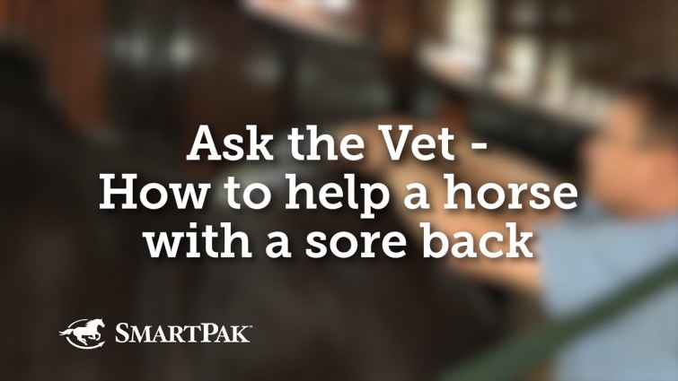Ask the Vet – How to help a horse with a sore back