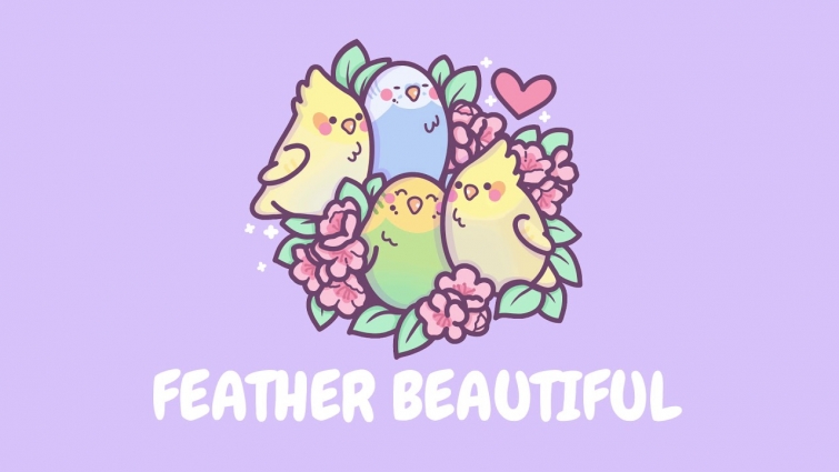 Feather Beautiful Intro