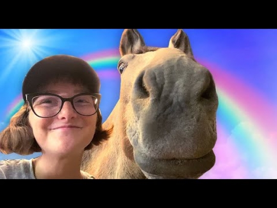 DAY IN THE LIFE OF AN EVERYDAY EQUESTRIAN