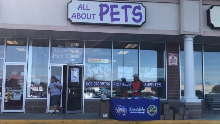 Video Now: All About Pets