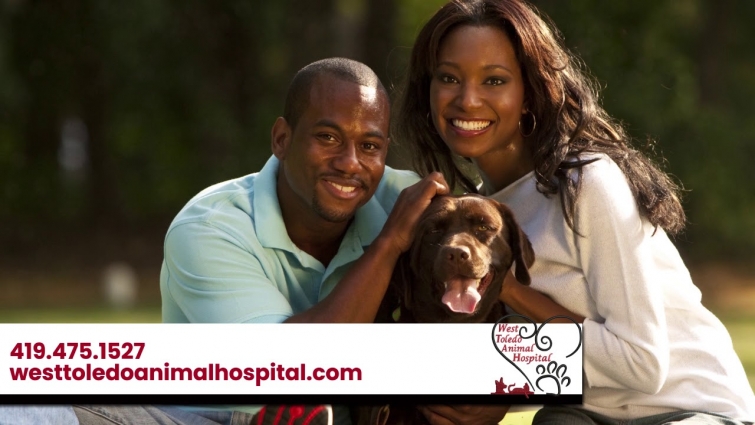 West Toledo Animal Hospital | Veterinary Services in Toledo
