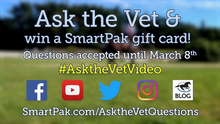 Ask the Vet needs your questions for our April 2018 video!