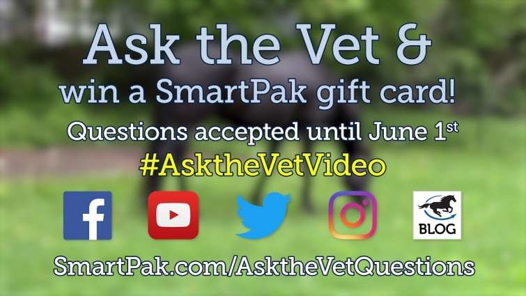 Ask your horse health questions for the July 2018 Ask the Vet video