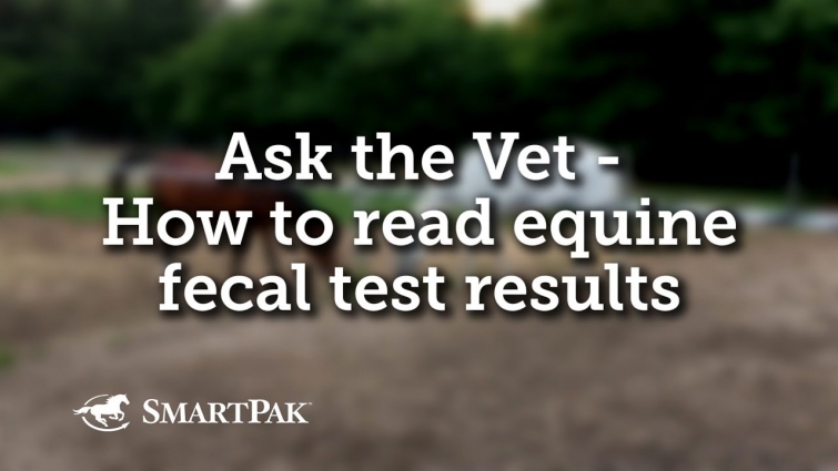 Ask the Vet – How to read equine fecal test results