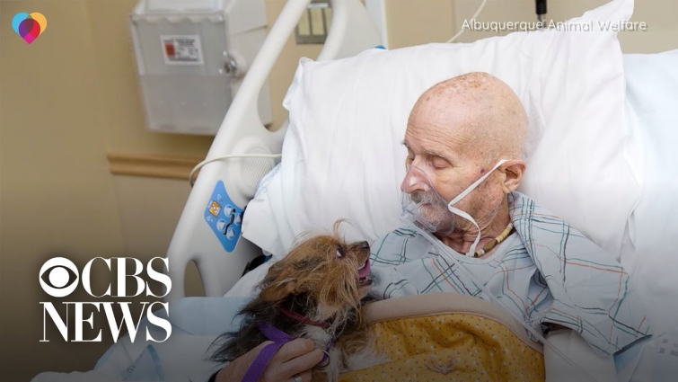 A Vietnam War vet and his dog have an unbreakable bond