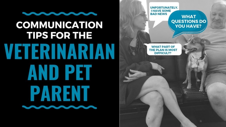 Communication Tips for the Veterinarian and Pet Parent: Vlog 90