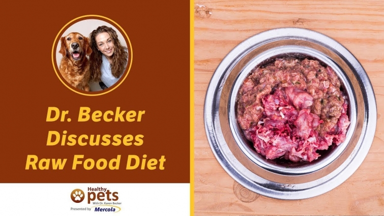 Dr. Becker Discusses Raw Food Diet (Part 2)