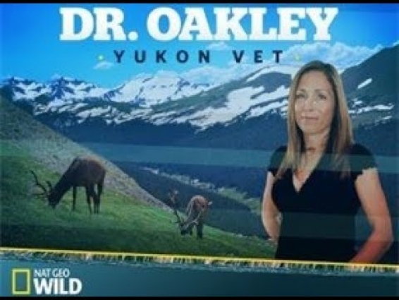 Dr. Oakley, Yukon Vet; Season 7 Episode 6