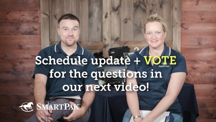 Schedule update + VOTE for the questions in the next Ask the Vet video!