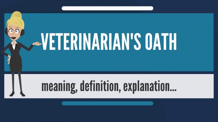 What is VETERINARIAN'S OATH? What does VETERINARIAN'S OATH mean? VETERINARIAN'S OATH meaning