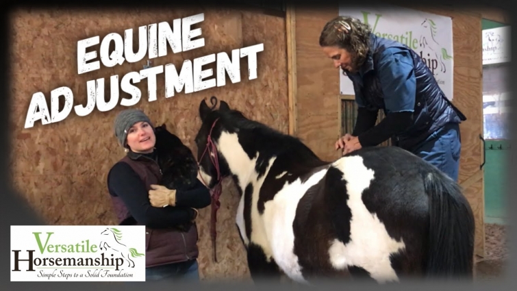 Equine Chiropractic | Miss Kitty’s Adjustment // Versatile Horsemanship