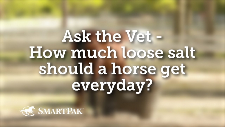 Ask the Vet – How much loose salt should a horse get everyday?