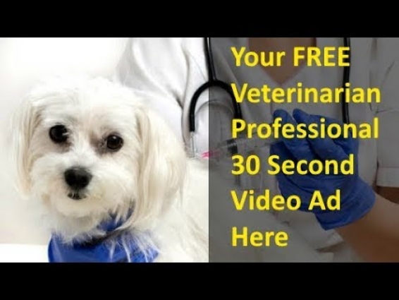 Veterinarian Video Marketing Memphis TN – FREE Video Ad from YouTube Video Promotion Service