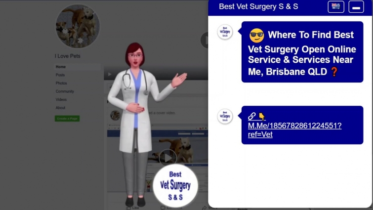 Where To Find Best Vet Surgery Open Online Service & Services Near Me, Brisbane QLD? – Season 1