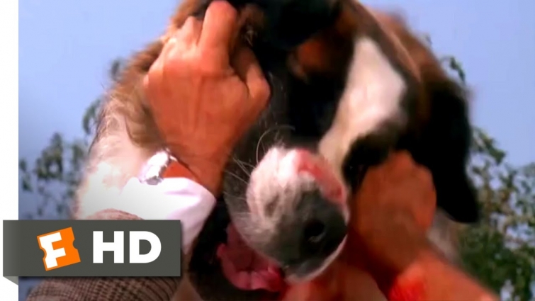 Beethoven (1992) – Framing Beethoven Scene (7/10) | Movieclips