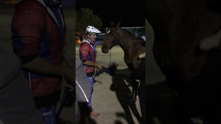 2019 AERC Nat'l Championship 100 mile winner Jeremy Reynolds and RTR Rimfires Etta – final vet check