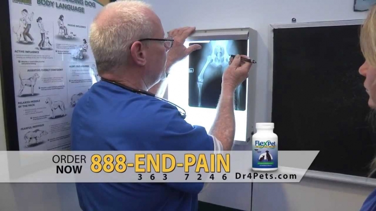 FlexPet gives you a tour of Dr. David Randall's Veterinarian Office