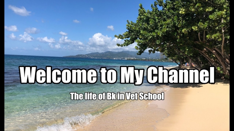 Welcome to My Channel | Vet Student Brittney