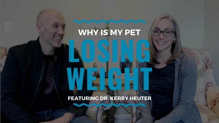 Why is My Pet Losing Weight?: Vlog 96