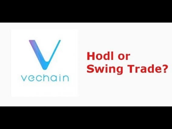 Vechain(VET) Hodl or Swing trade now? Why VET is more explosive than XRP, BTC, ETH.