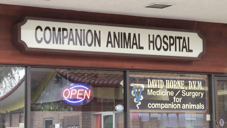Santa Cruz Veterinarian – Companion Animal Hospital, Westside Santa Cruz, Yellow Pages ad