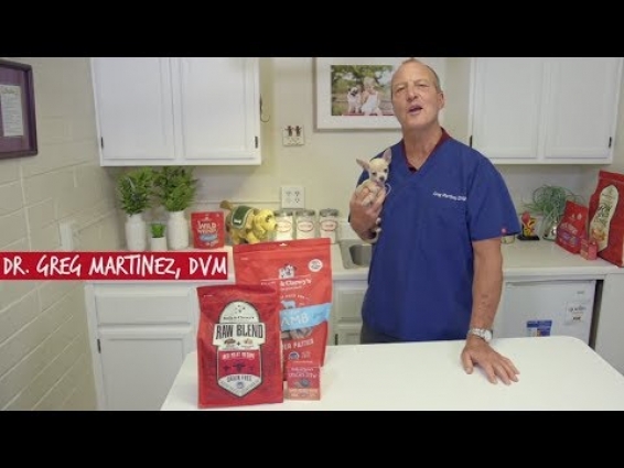 How to Find the Right Food for Your Dog with Veterinarian Dr. Greg Martinez