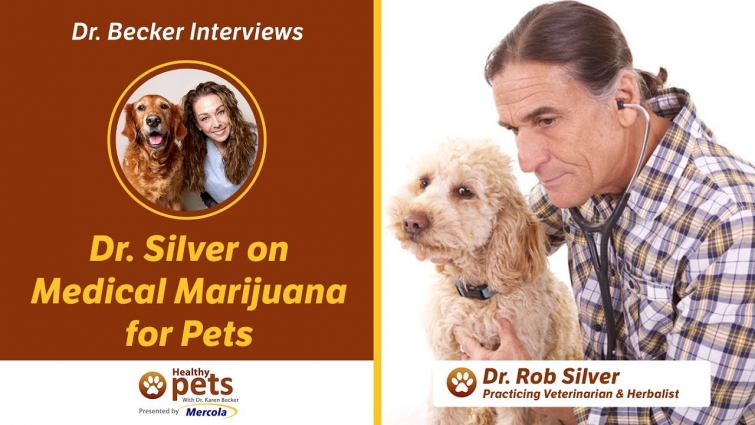 Dr. Becker Interviews Dr. Silver about Medical Marijuana