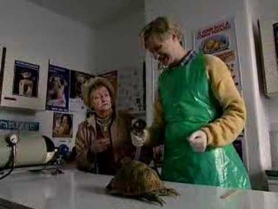 Mr Chinnery – tortoise – The League of Gentlemen – BBC comedy