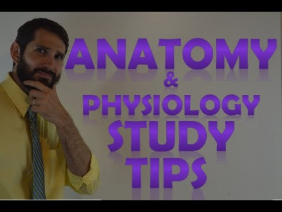 Anatomy and Physiology Study Tips | How to ACE Anatomy & Physiology