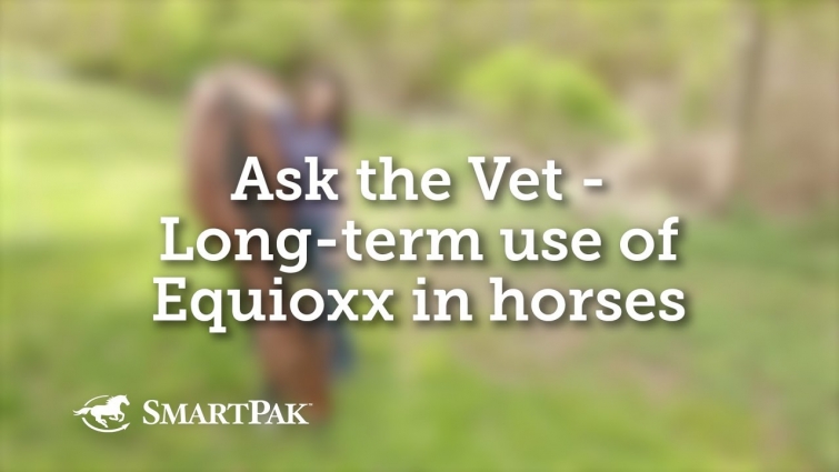 Ask the Vet – Long-term use of Equioxx in horses