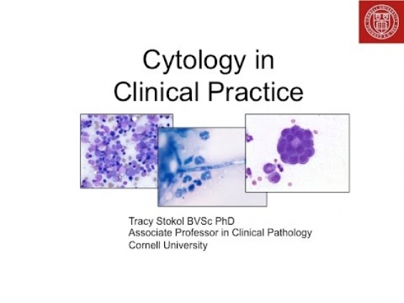 Cytology in Clinical Practice