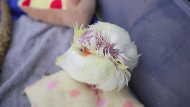 A #throwback to Baby Muffin