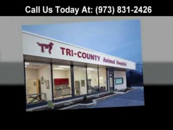 Wayne, NJ Veterinarian: Tri-County Animal Hospital – (973) 831-2426