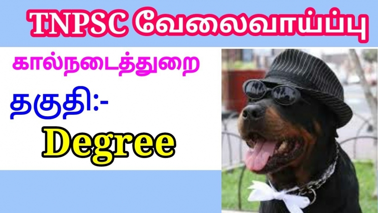 TNPSC NEW JOBS | but no job vet | SUBSCRIBE FOR MORE