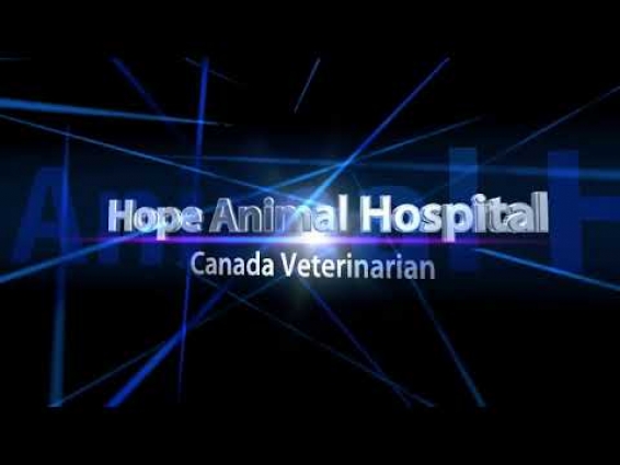 Canada veterinarian – Created using Flixpress.com