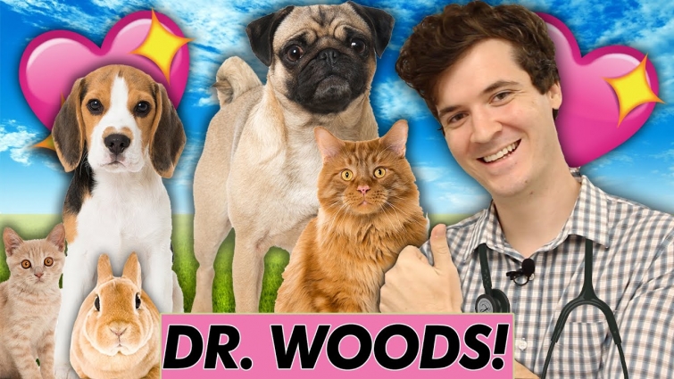 My First Day As A Veterinarian!