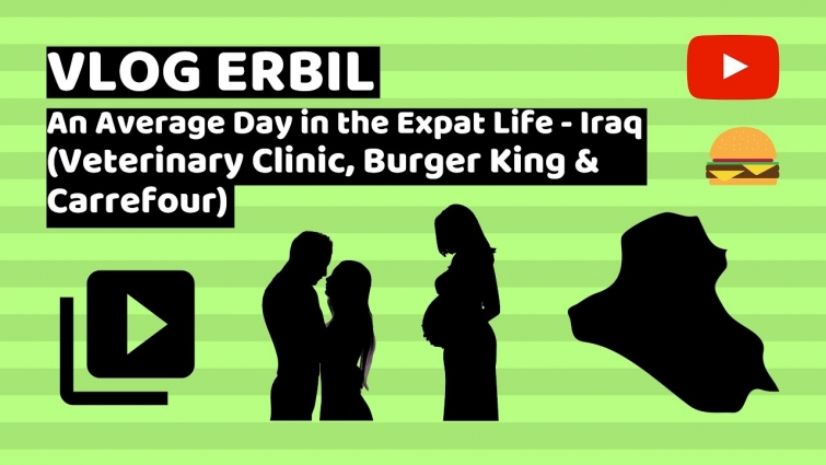 VLOG ERBIL: An Average Day in the Expat Life – Iraq (Veterinary Clinic, Burger King & Carrefour)