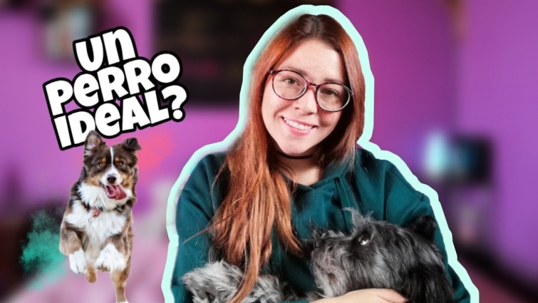 5 razas de perros ideales para un niño 🐾👦🏻👧🏻 | Dra. Vet