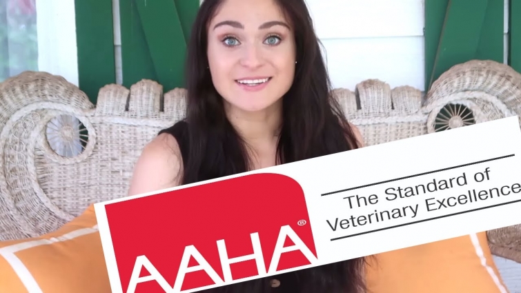 How To Choose A Veterinarian – American Animal Hospital Association