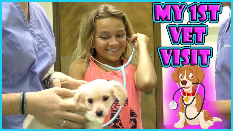 HARLEY HAS TO SEE THE VET | WHO ELSE DO WE SEE AT THE VET? | We Are The Davises