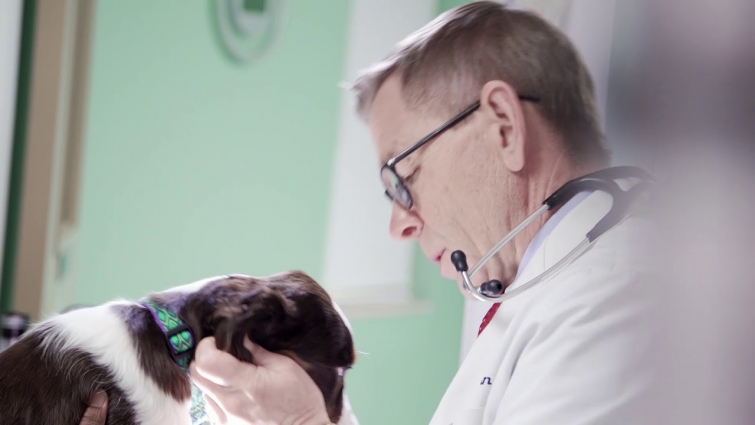 Demo Reel/Portfolio – Veteos Custom Veterinary Videos