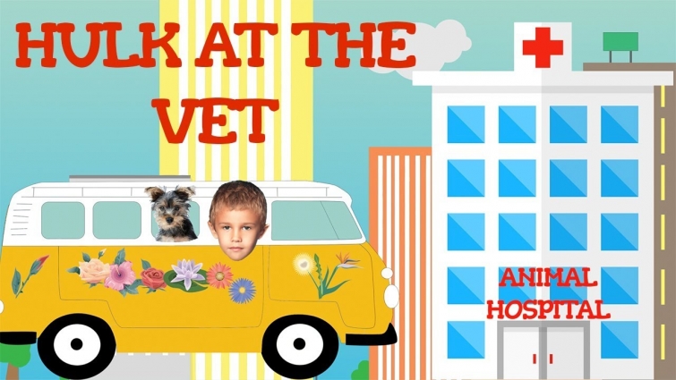 Hulk the Yorkie Dog and Daniel Go to the Veterinary Clinic | Video for Kids