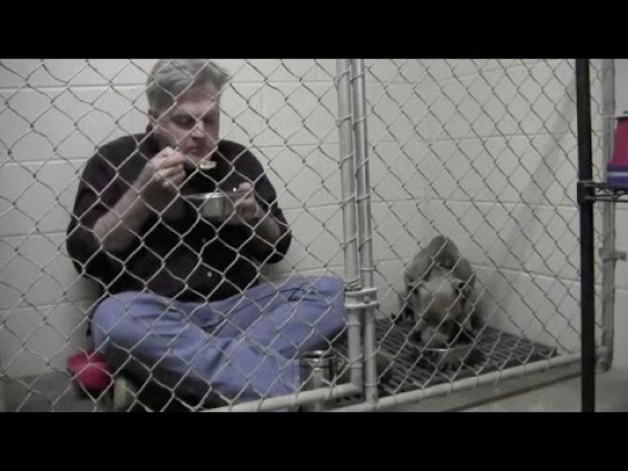 Veterinarian Comforts Neglected Dog By Eating Breakfast Inside Cage – Newsy