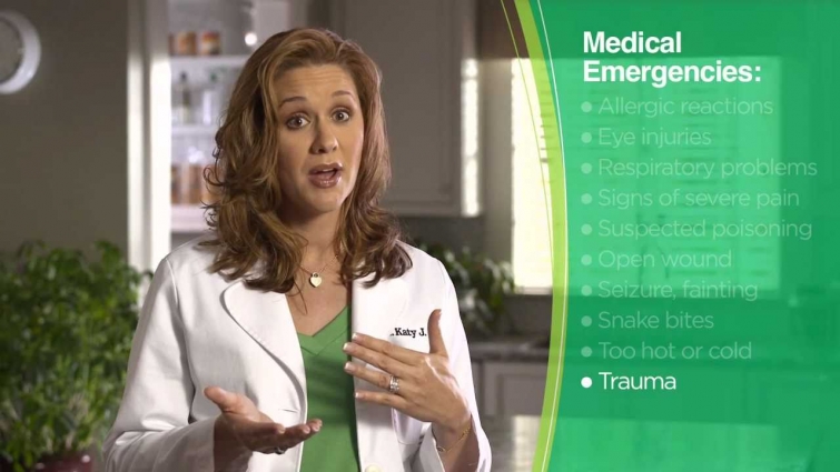 Iams Video: Puppy's First Visit to the Vet