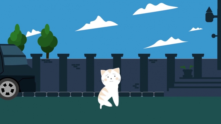 When to Call the Vet