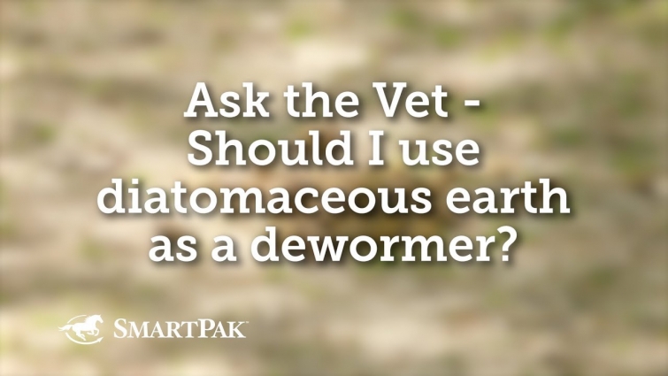 Ask the Vet – Should I use diatomaceous earth as a dewormer?