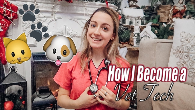 How I became a Vet Tech! 🐾
