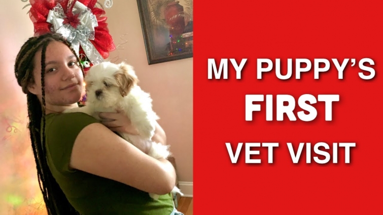FIRST VET VISIT!!!